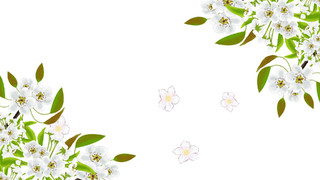 白色绿色手绘梨花元素GIF动态图